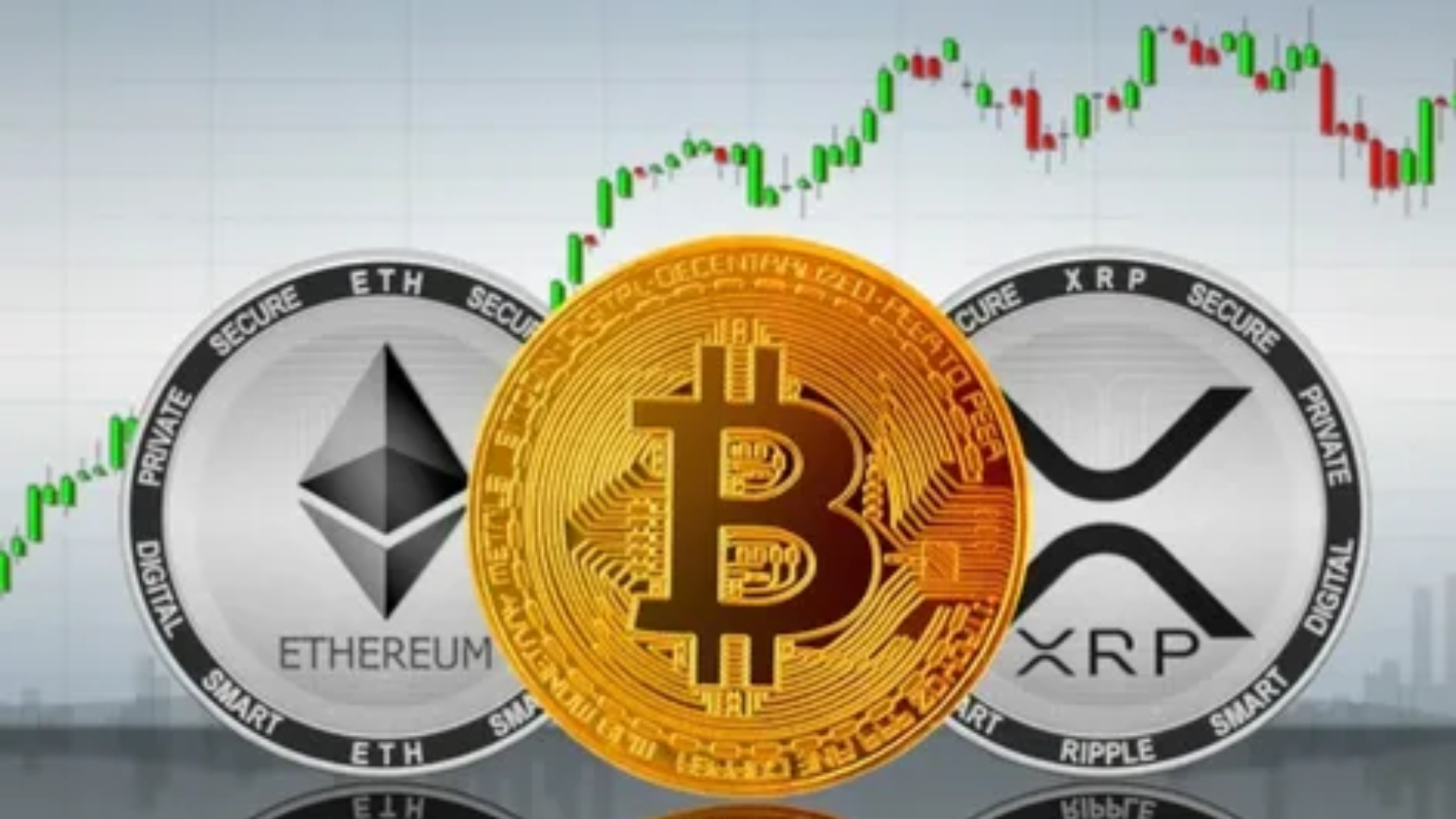 Bitcoin vs. Ethereum Which Cryptocurrency Should You Invest In